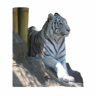 White Tiger Photo Sculpture
