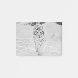 White 🐅 Tiger Post-it Notes