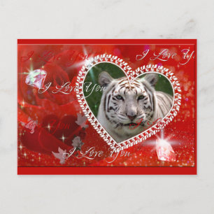 White Tiger Postcard
