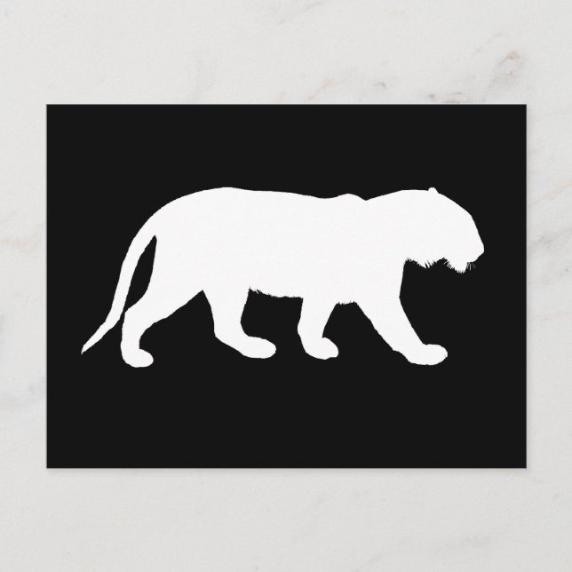 White Tiger Postcard (Front)
