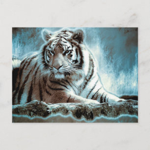 White Tiger Postcard