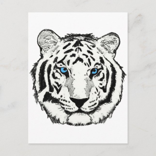 White tiger postcard (Front)