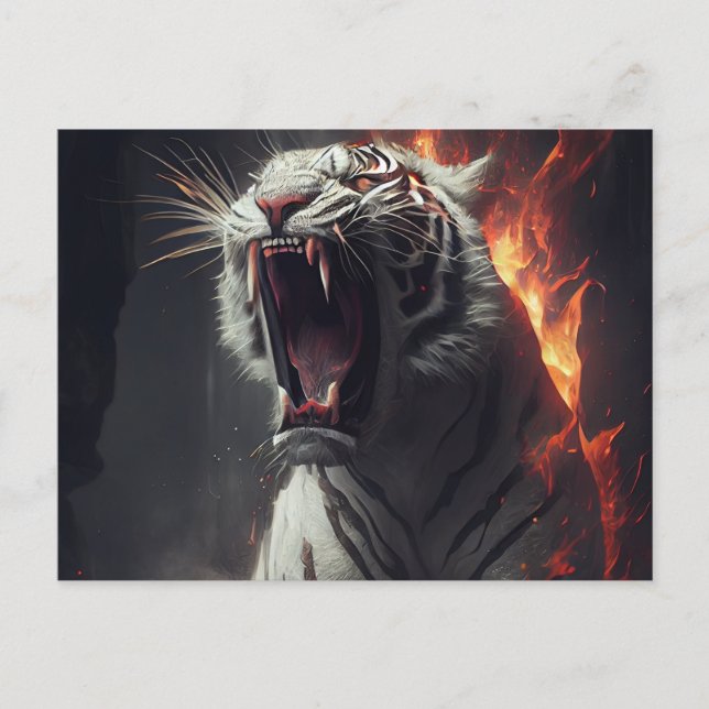 White Tiger Postcards (Front)