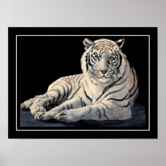 White Tiger Poster
