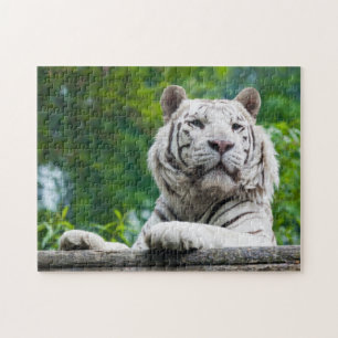 White Tiger puzzle