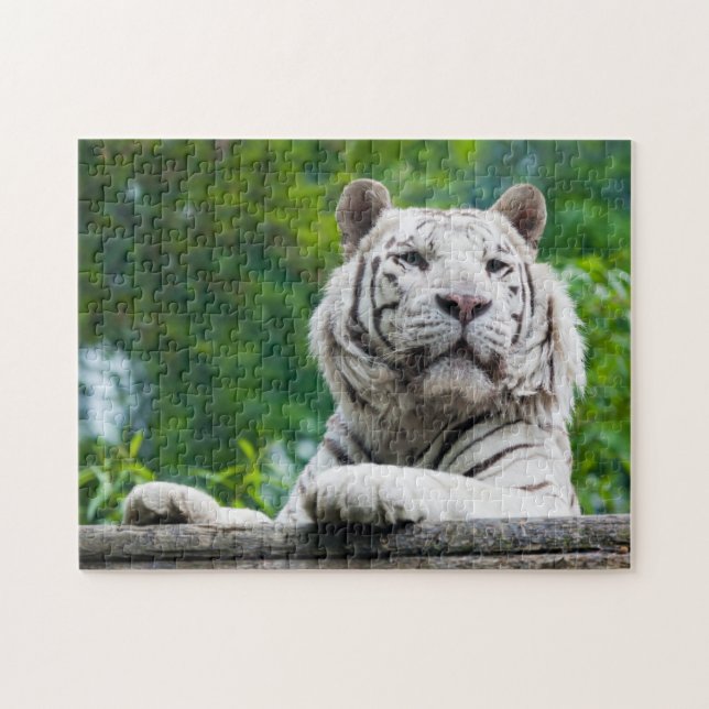 White Tiger puzzle (Horizontal)