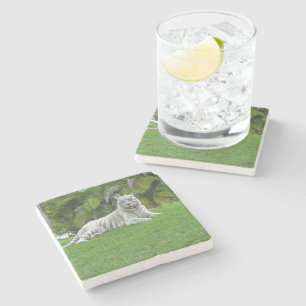 White Tiger Resting in Soft Green Shade Stone Coaster