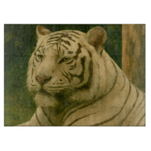 White Tiger Resting in Woodland Shade Cutting Board