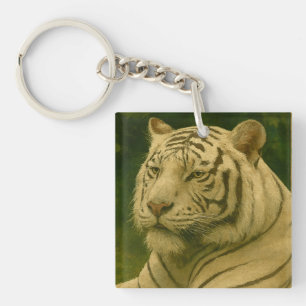 White Tiger Resting in Woodland Shade Key Ring