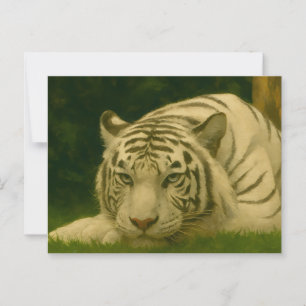 White Tiger Resting in Woodland Shade Postcard