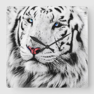 White Tiger Square Wall Clock
