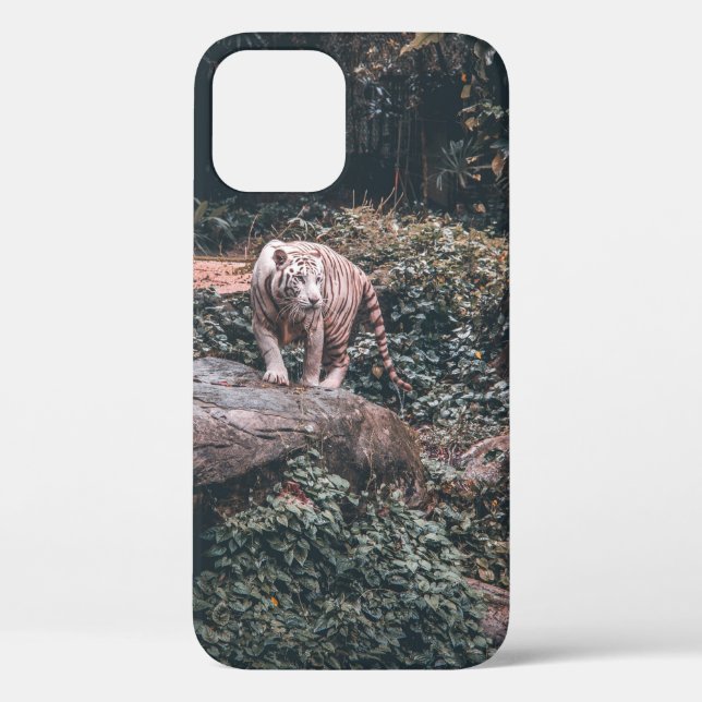 WHITE TIGER STANDING ON GREY STONE Case-Mate iPhone CASE (Back)