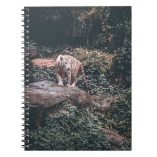 WHITE TIGER STANDING ON GREY STONE NOTEBOOK
