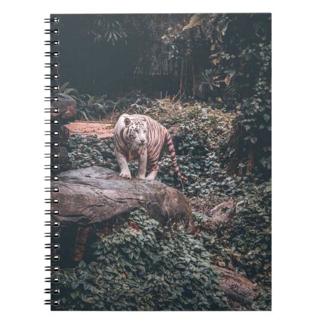 WHITE TIGER STANDING ON GREY STONE NOTEBOOK (Front)