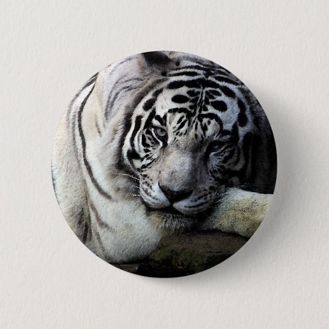White Tiger Stare 6 Cm Round Badge (Front)