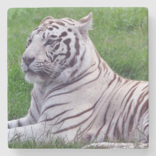 White Tiger Stone Coaster