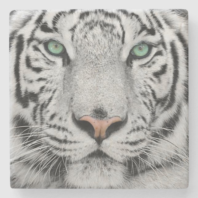 White Tiger Stone Coaster (Front)