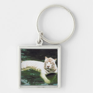White Tiger Swimming Peacefully Key Ring