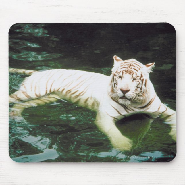 White Tiger Swimming Peacefully Mouse Pad (Front)