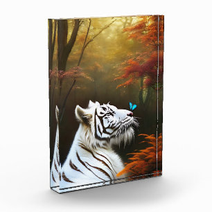White Tiger Those Loving Moments, Photo Block