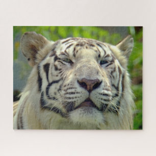 White Tiger Up Close #2 Jigsaw Puzzle