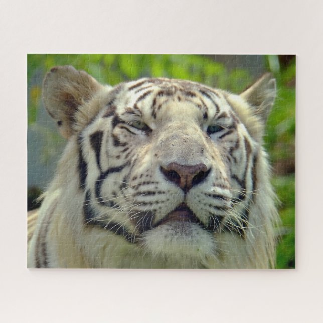 White Tiger Up Close #2 Jigsaw Puzzle (Horizontal)