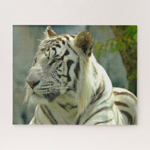 White Tiger Up Close Jigsaw Puzzle