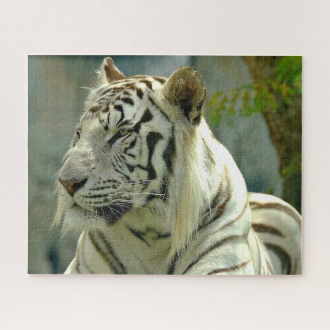 White Tiger Up Close Jigsaw Puzzle (Horizontal)