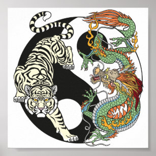 Chinese Mythology white Dragon Yin and yang Chinese dragon Tiger Tattoo  Dragon body Jewelry orange wing  Anyrgb