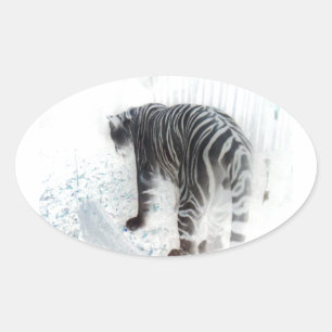White Tiger wild animal Oval Sticker