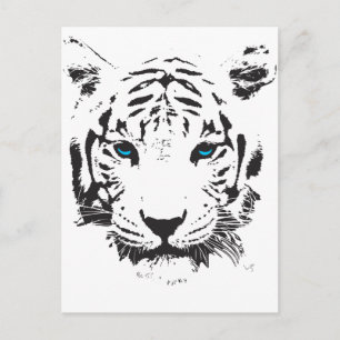 White Tiger with Blue Eyes Postcard