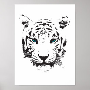 White Tiger with Blue Eyes Poster