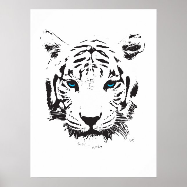 White Tiger with Blue Eyes Poster (Front)