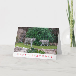 White tigers birthday card