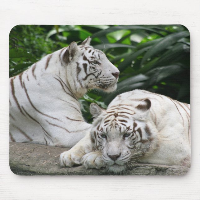white tigers mouse pad (Front)