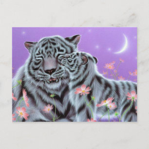 White Tigers Postcard