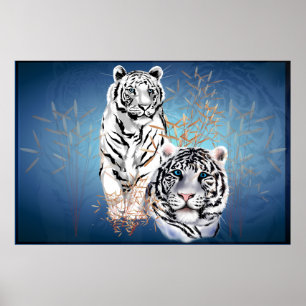 White Tigers -Posters Poster