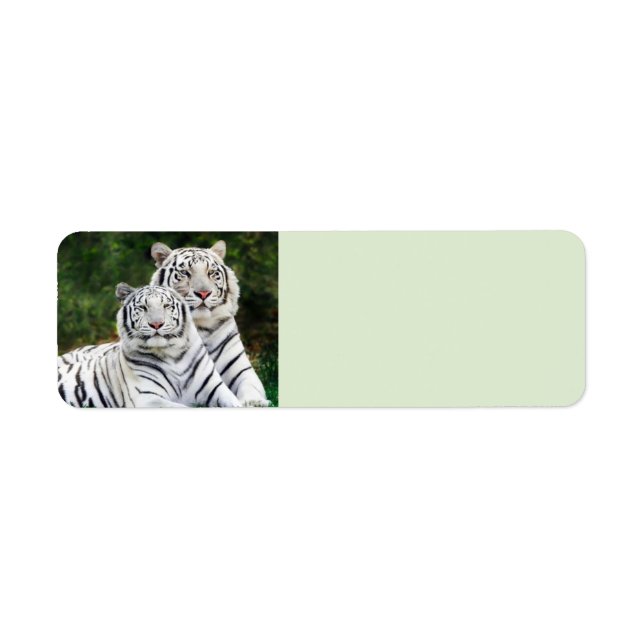 White Tigers Return Address Label (Front)