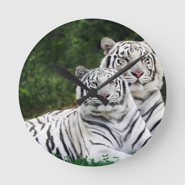 White Tigers Round Clock (Front)