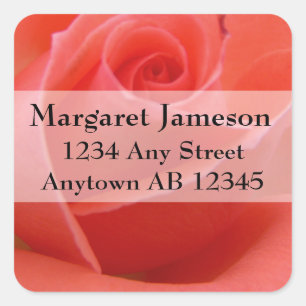 White Tipped Pink Rose Wedding Return Address Square Sticker