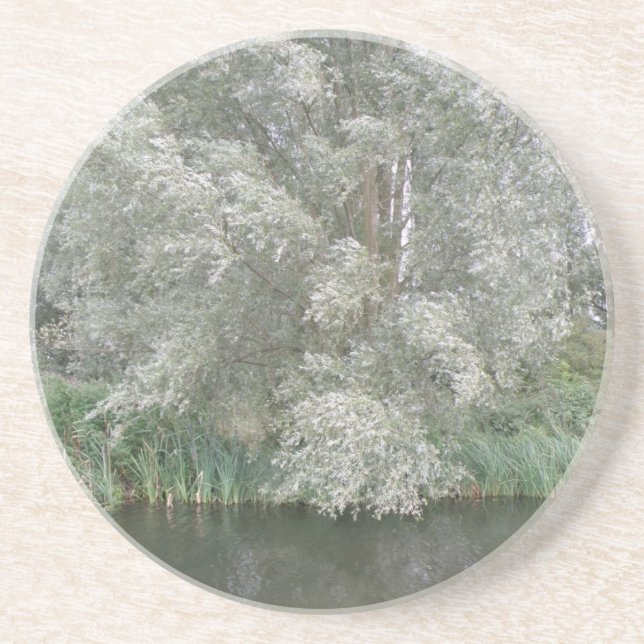 White Tree and River Landscape Coasters (Front)