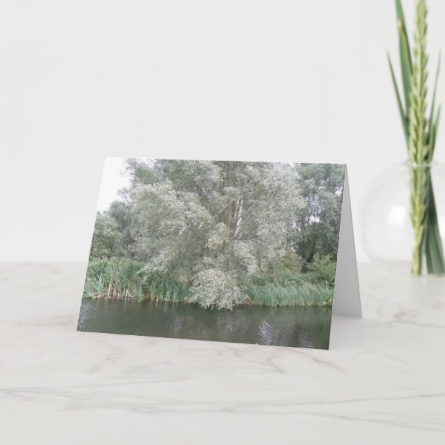 White Tree and River Landscape Greeting Card (Front)