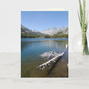 White Tree in Shadow Lake, Blank Inside Card