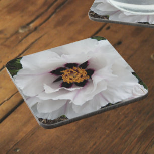 White Tree Peony Floral Coaster
