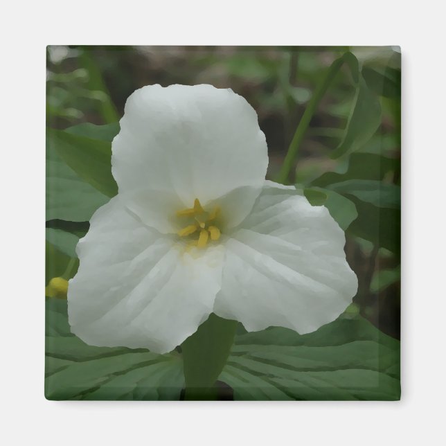 White Trillium Magnet (Front)