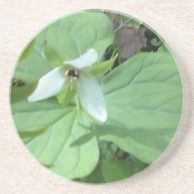 white trillium with greenry coaster (Front)