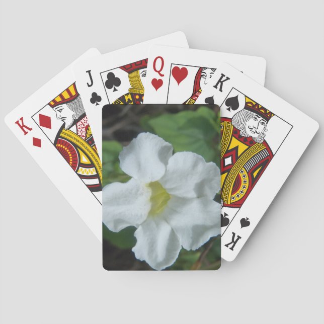 White Tropical Flower Found on Fiji Playing Cards (Back)