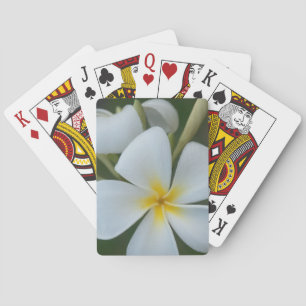White Tropical Flower From Fiji Playing Cards