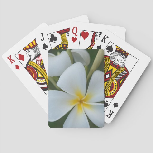 White Tropical Flower From Fiji Playing Cards (Back)