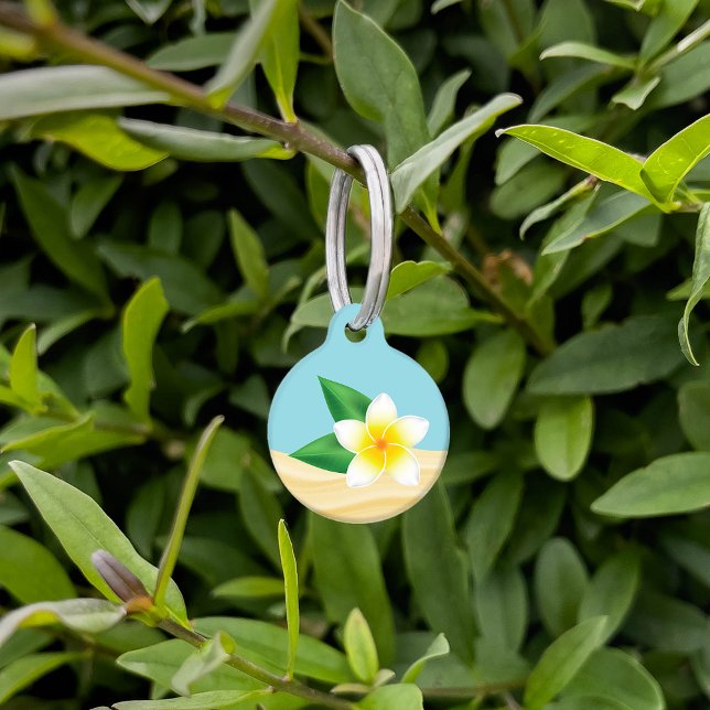 White Tropical Frangipani Flower & Custom Info Pet Tag (Creator Uploaded)